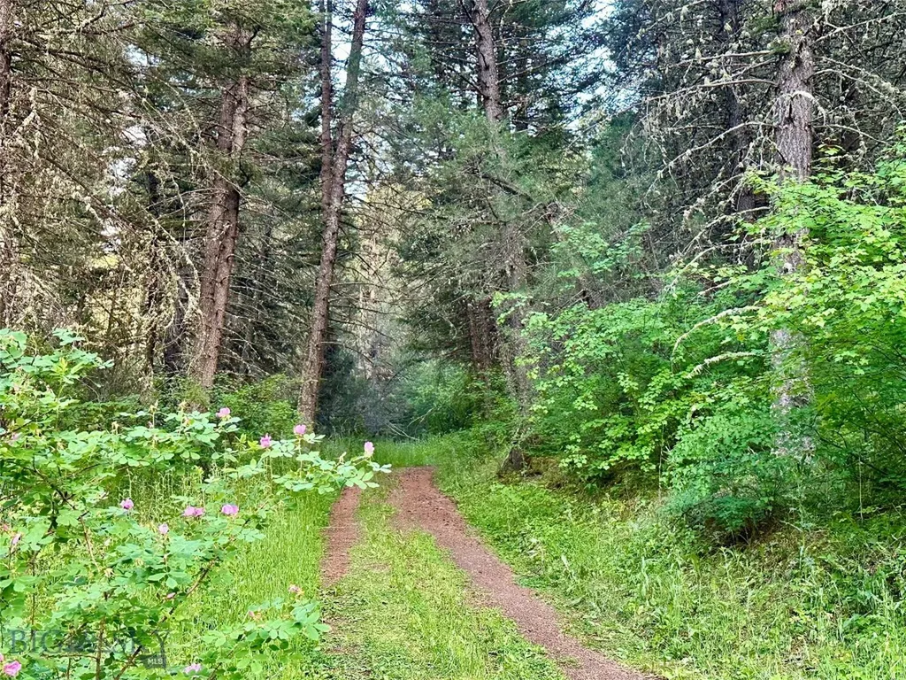 Lot 31 Tbd Round Pole Drive Three Forks MT 59752