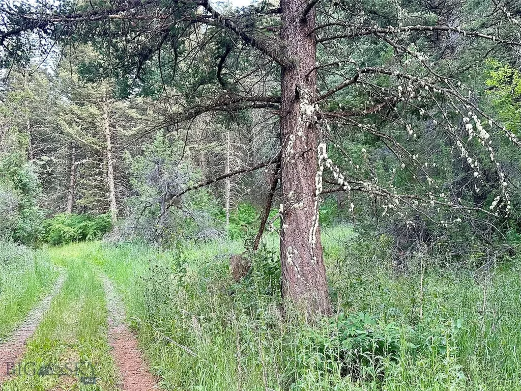 Lot 31 Tbd Round Pole Drive Three Forks MT 59752