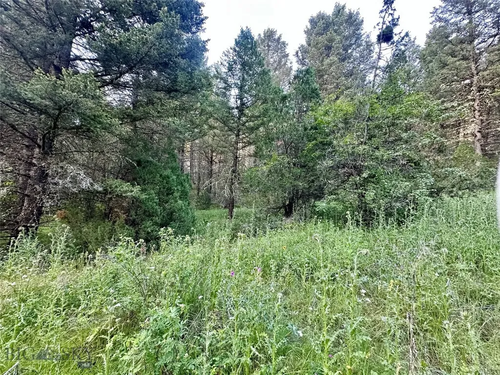 Lot 31 Tbd Round Pole Drive Three Forks MT 59752