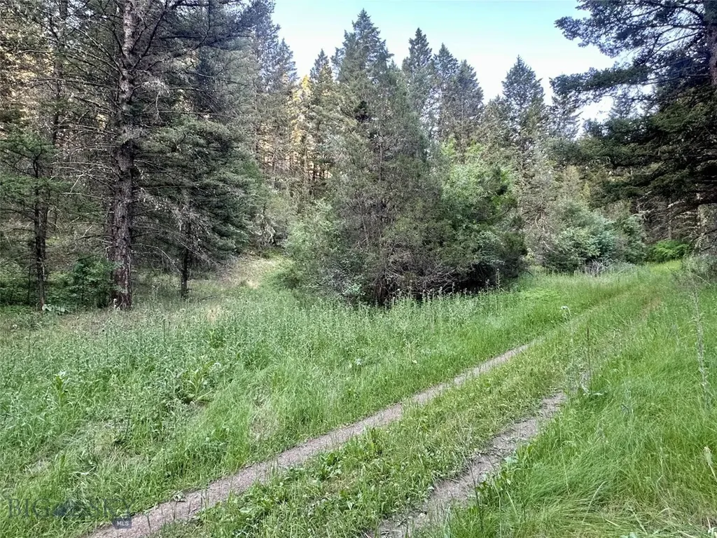 Lot 31 Tbd Round Pole Drive Three Forks MT 59752