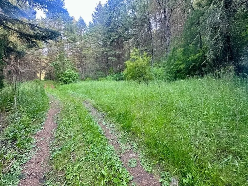 Lot 31 Tbd Round Pole Drive Three Forks MT 59752