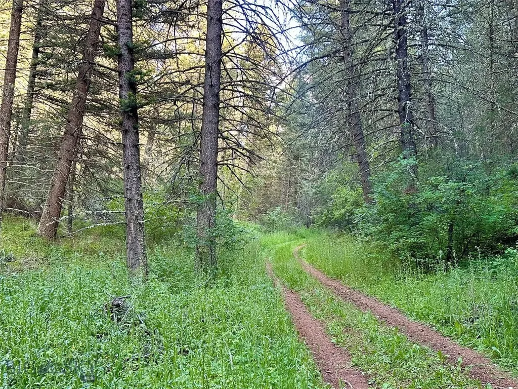 Lot 31 Tbd Round Pole Drive Three Forks MT 59752
