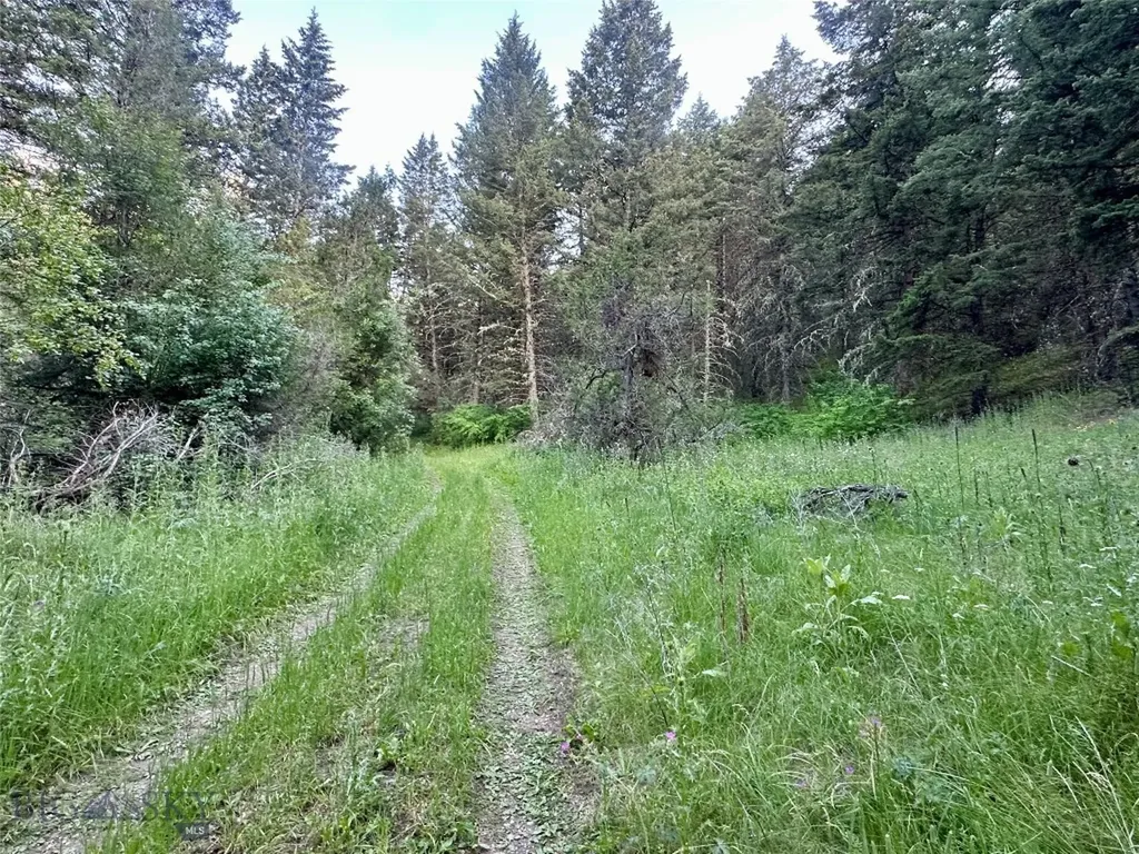 Lot 31 Tbd Round Pole Drive Three Forks MT 59752