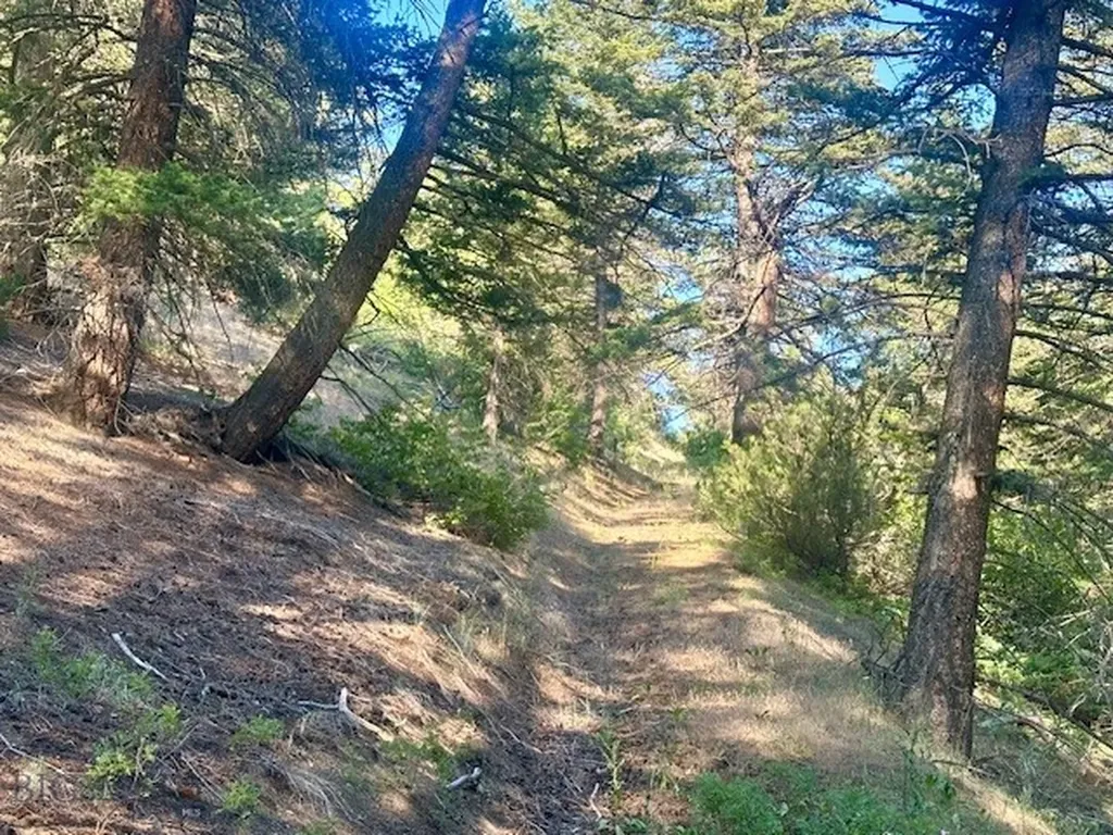 Lot 31 Tbd Round Pole Drive Three Forks MT 59752