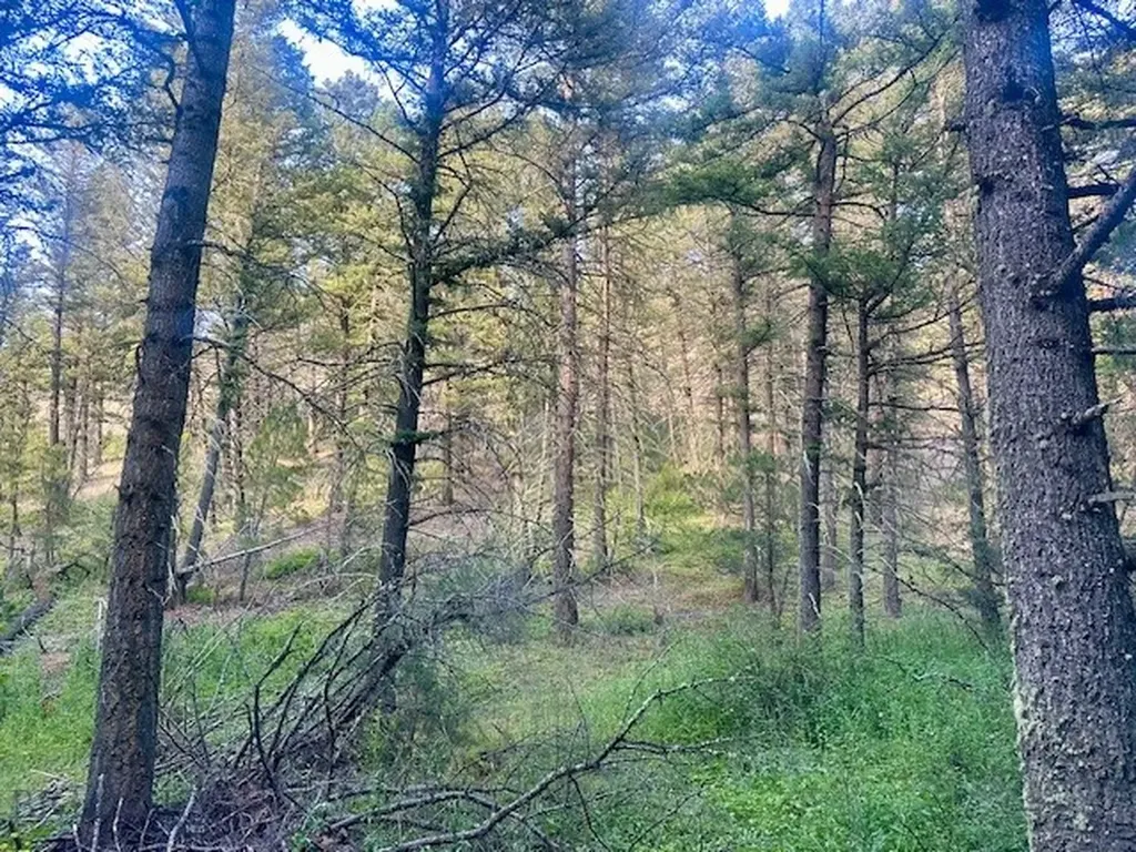 Lot 31 Tbd Round Pole Drive Three Forks MT 59752