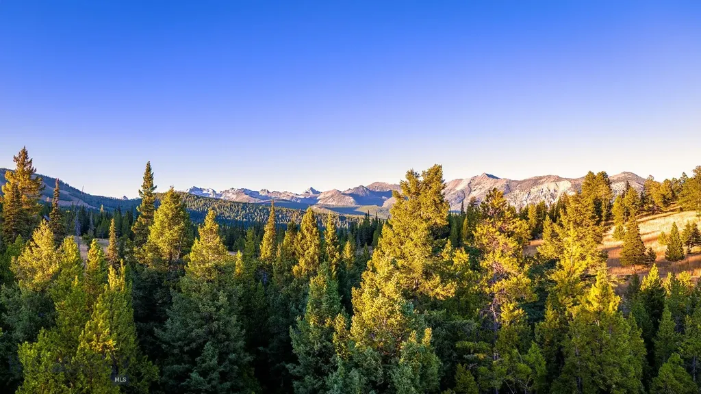 Lot 1 & 2 Wheatgrass Meadows Big Sky MT 59716