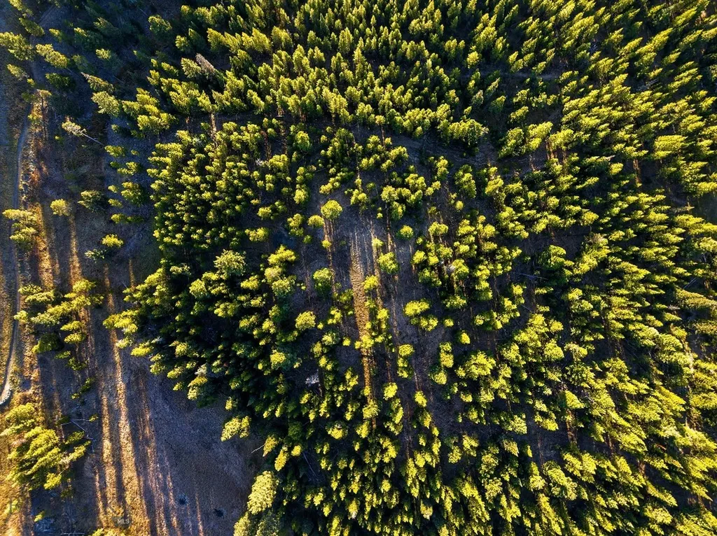 Lot 1 & 2 Wheatgrass Meadows Big Sky MT 59716
