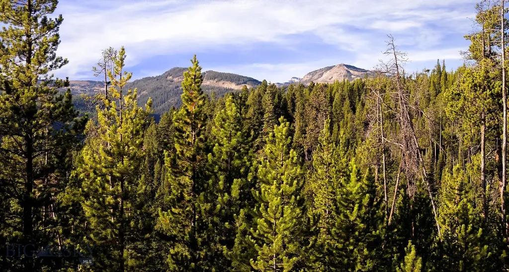 Lot 1 & 2 Wheatgrass Meadows Big Sky MT 59716
