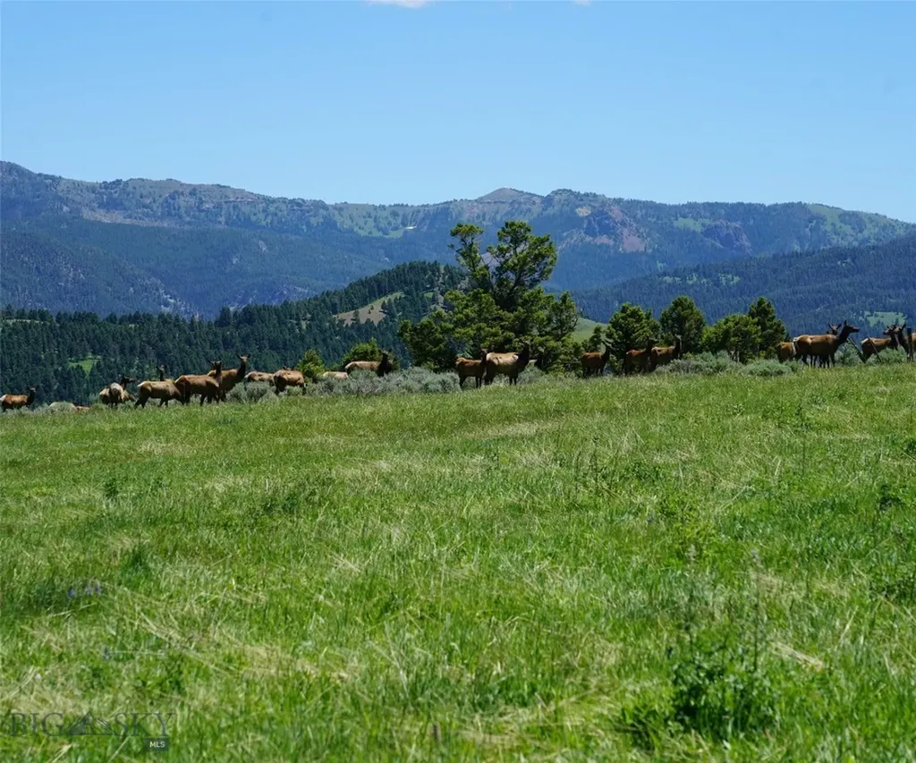 Tbd Timberloft Big Sky MT 59716