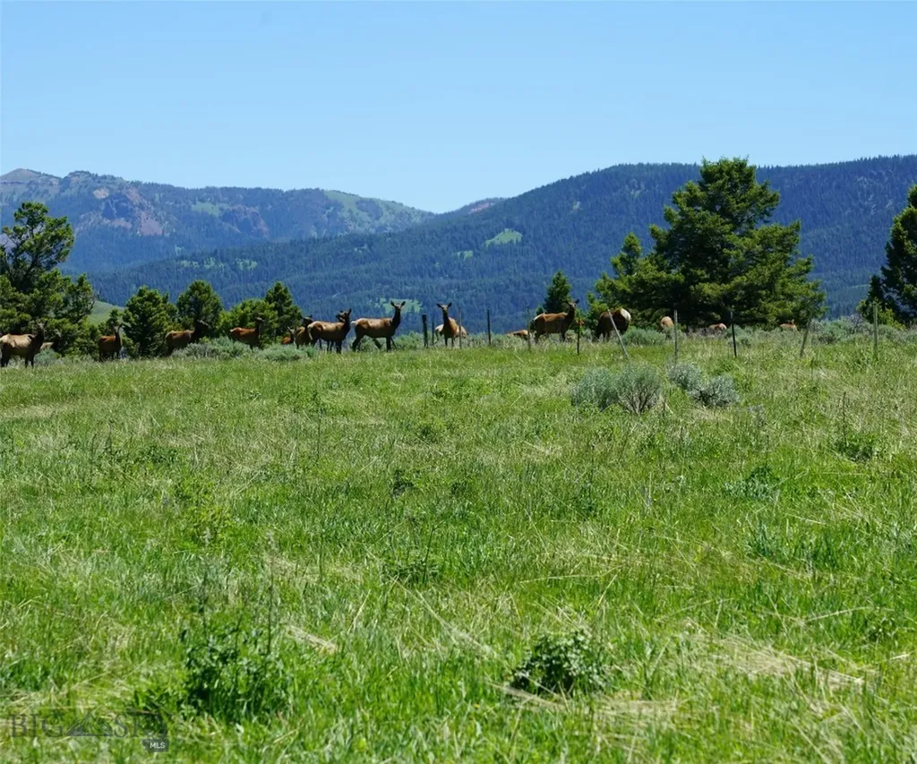 Tbd Timberloft Big Sky MT 59716