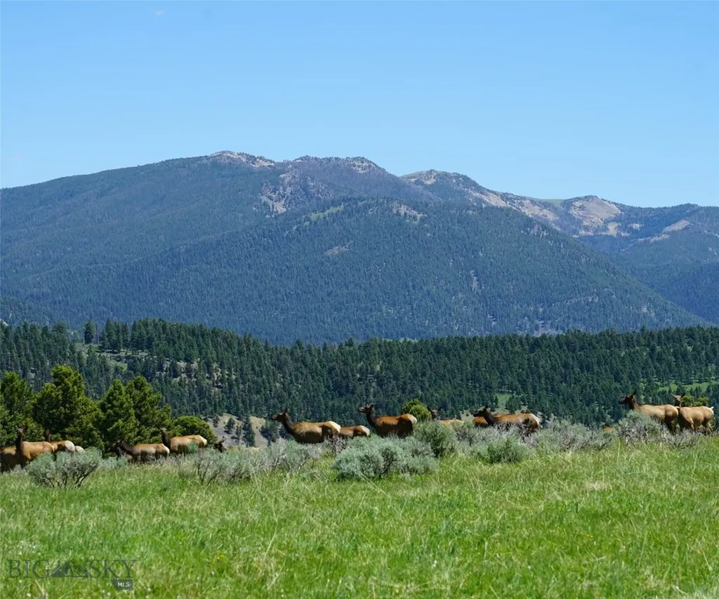 Tbd Timberloft Big Sky MT 59716