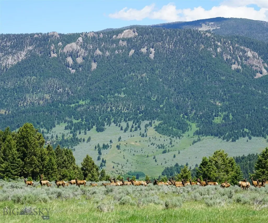 Tbd Timberloft Big Sky MT 59716