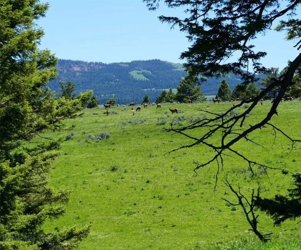 Tbd Timberloft Big Sky MT 59716