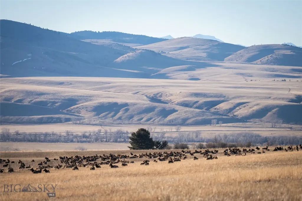 Tbd S Whistleberry Road Bozeman MT 59718