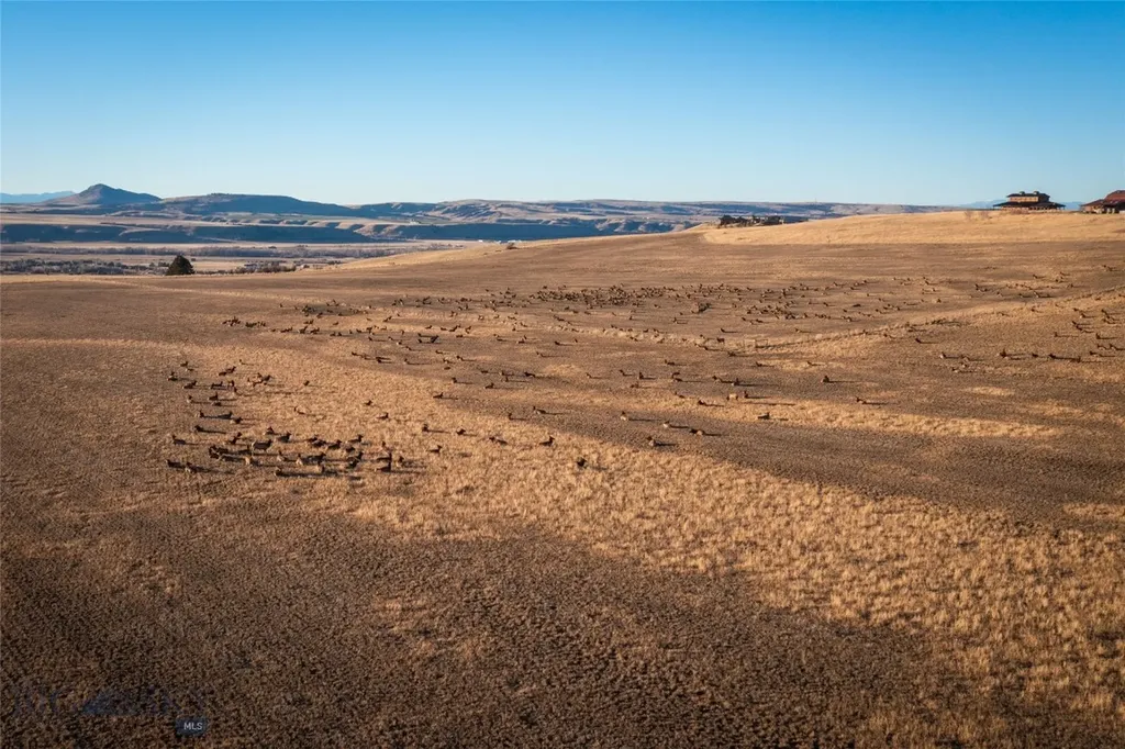 Tbd S Whistleberry Road Bozeman MT 59718