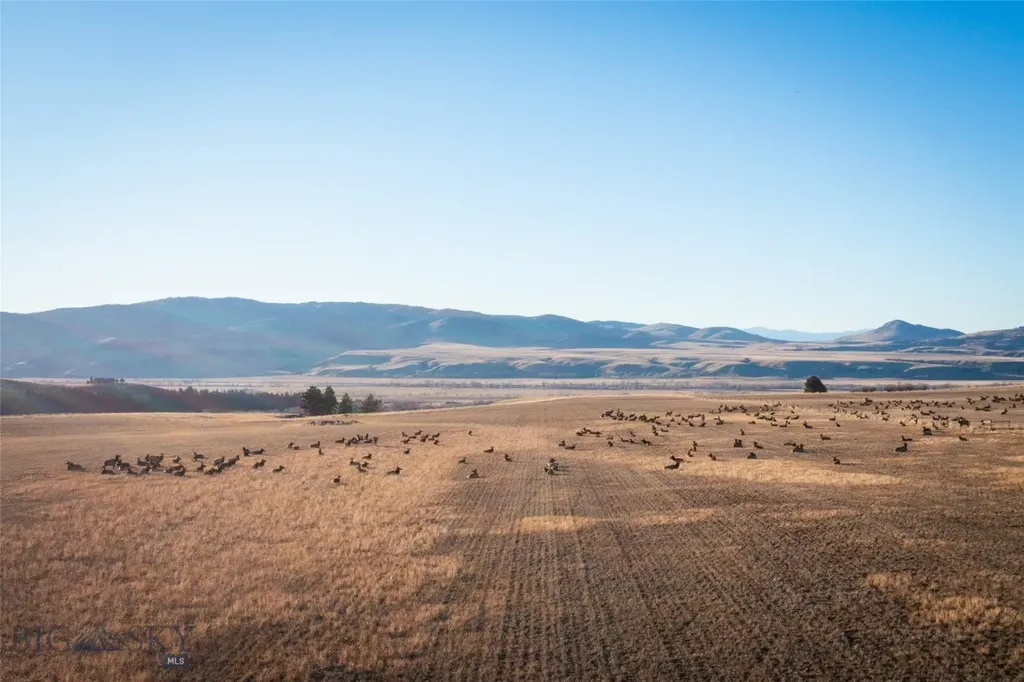 Tbd S Whistleberry Road Bozeman MT 59718