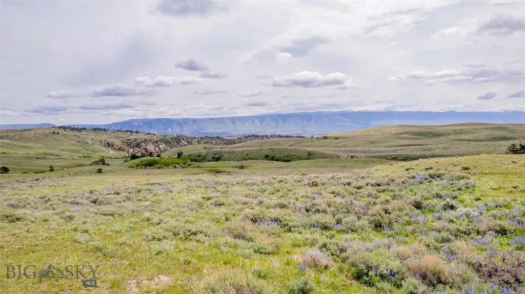 Nhn Bighorn Canyon Road Bridger MT 59014