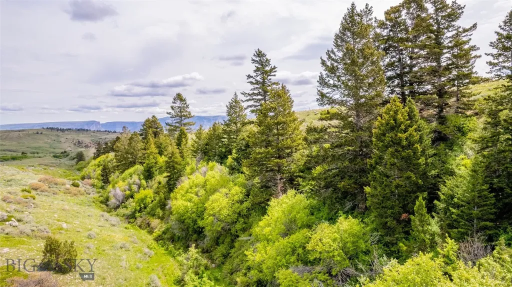 Nhn Bighorn Canyon Road Bridger MT 59014