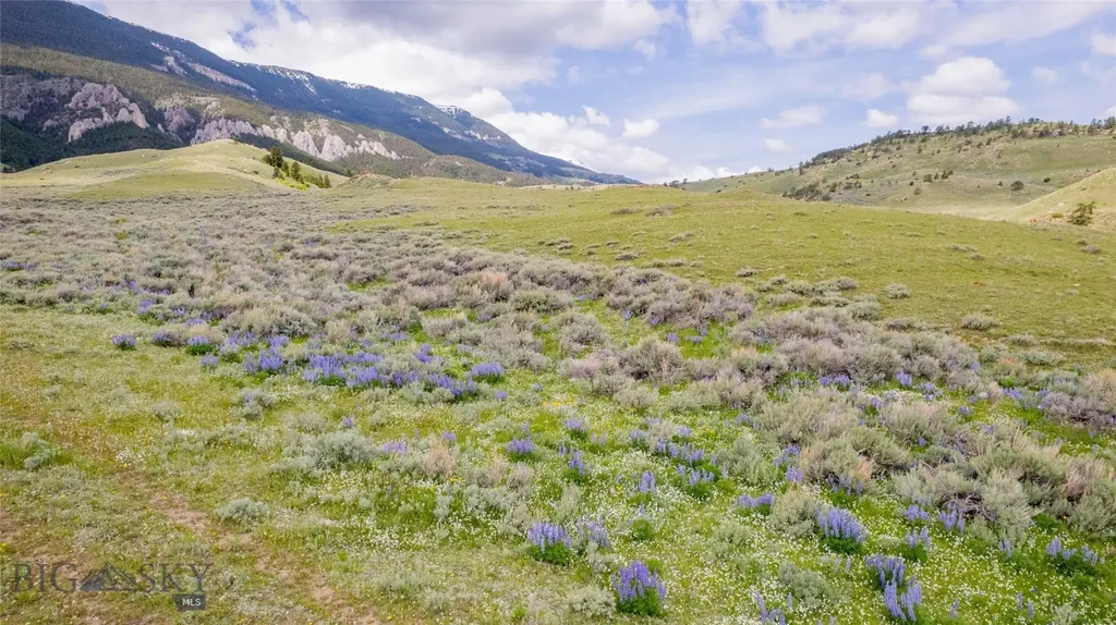 Nhn Bighorn Canyon Road Bridger MT 59014