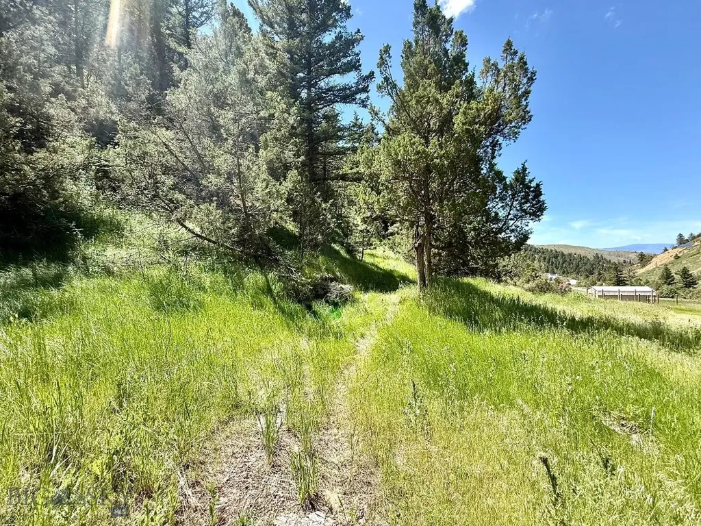 18600 Pole Gulch Three Forks MT 59752