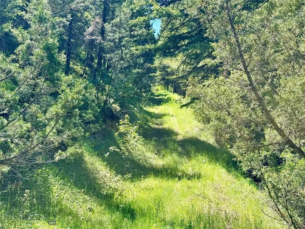 18600 Pole Gulch Three Forks MT 59752