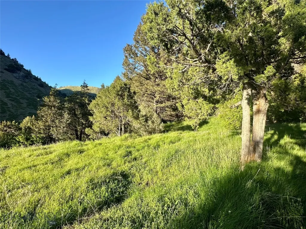 18600 Pole Gulch Three Forks MT 59752