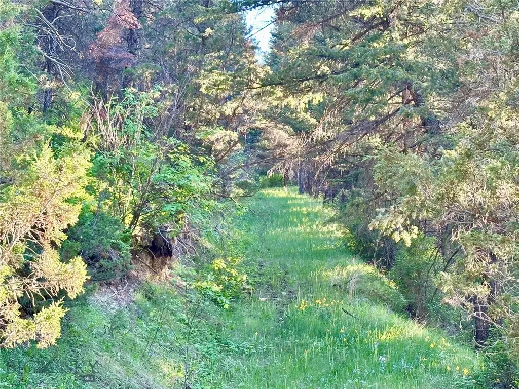18600 Pole Gulch Three Forks MT 59752