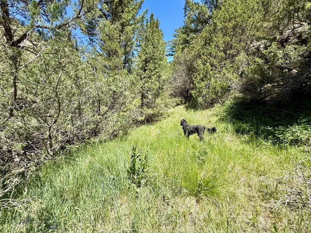 18600 Pole Gulch Three Forks MT 59752