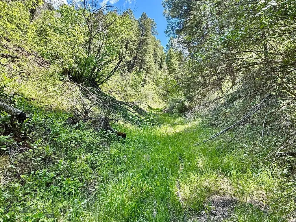 18600 Pole Gulch Three Forks MT 59752