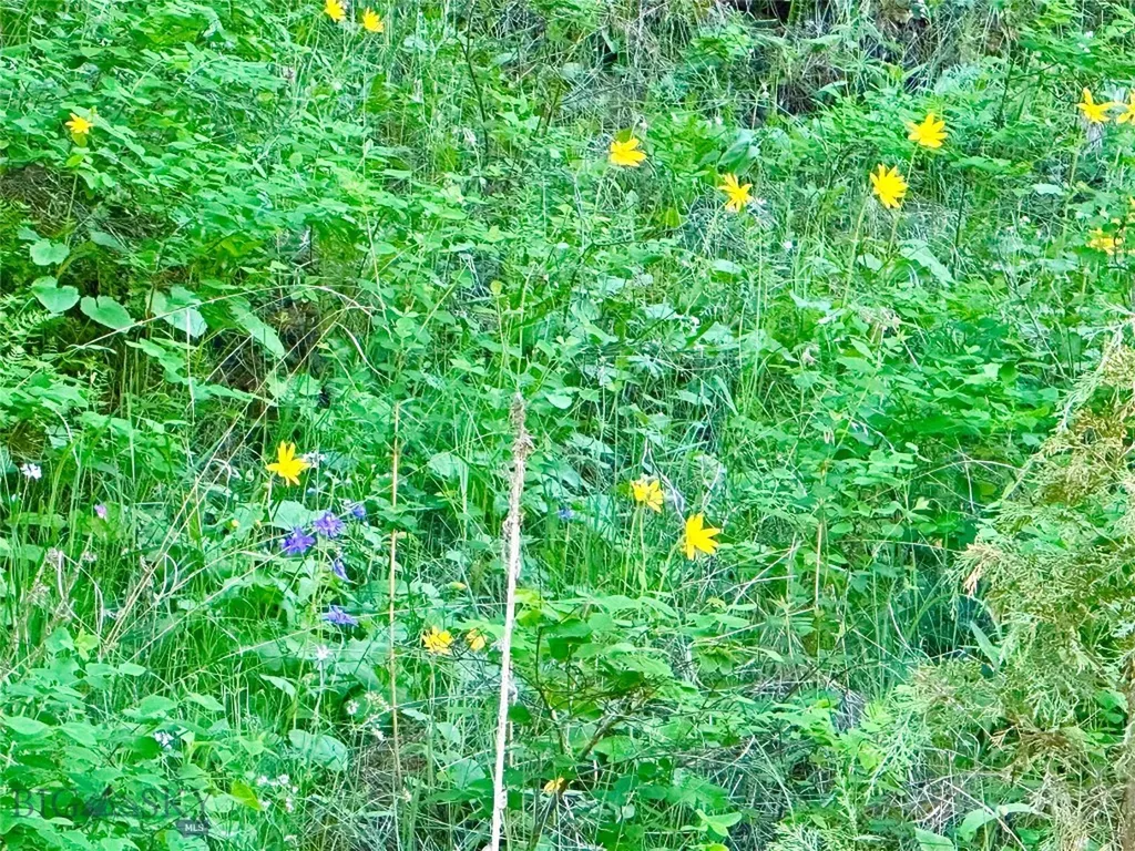 18600 Pole Gulch Three Forks MT 59752