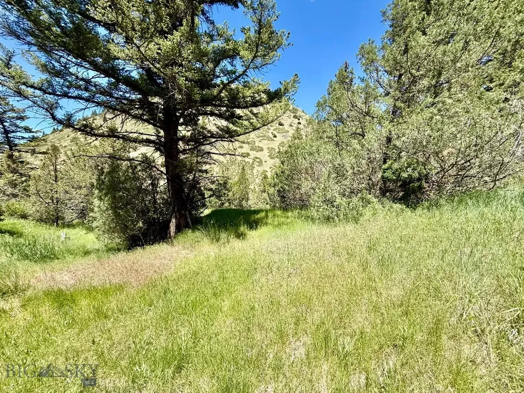 18600 Pole Gulch Three Forks MT 59752