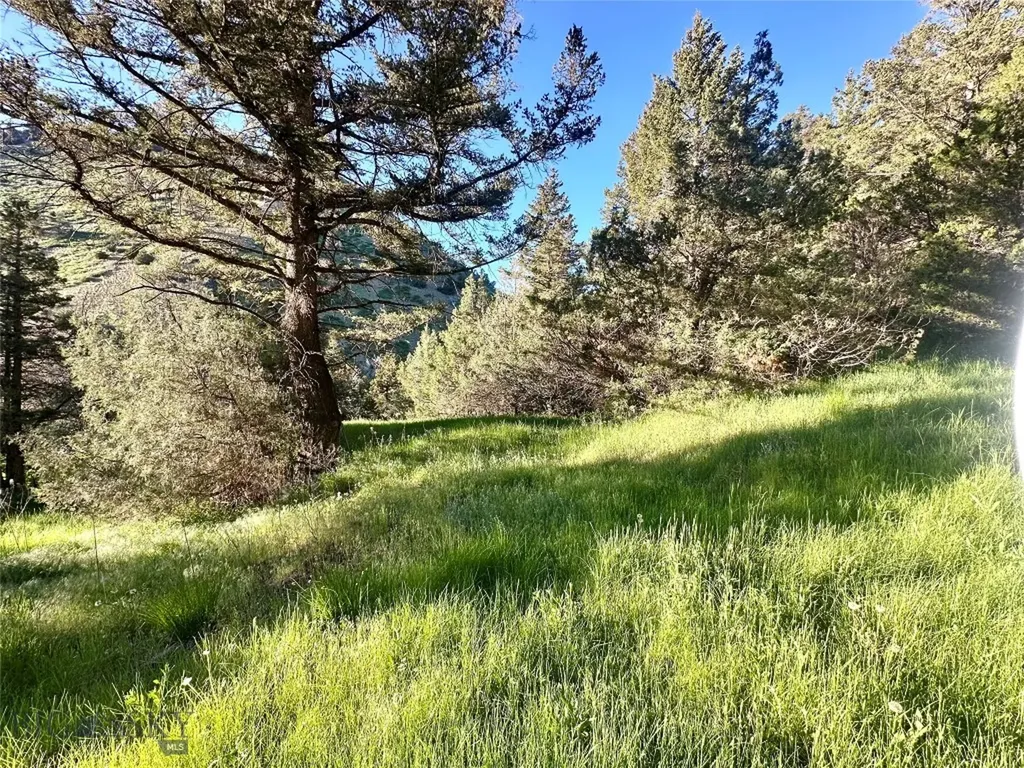 18600 Pole Gulch Three Forks MT 59752