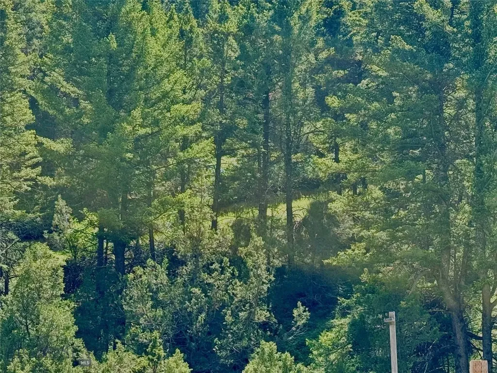 18600 Pole Gulch Three Forks MT 59752