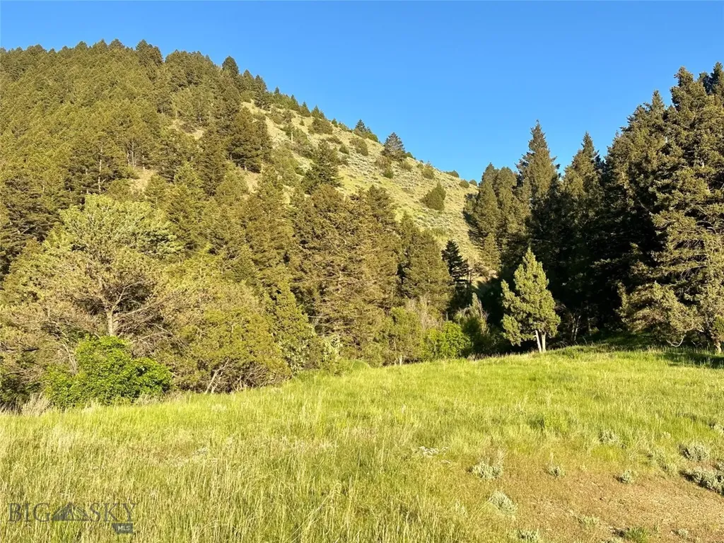 18600 Pole Gulch Three Forks MT 59752