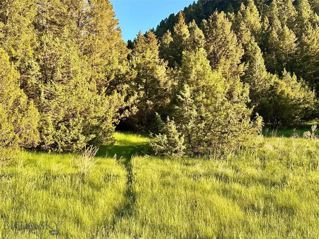 18600 Pole Gulch Three Forks MT 59752