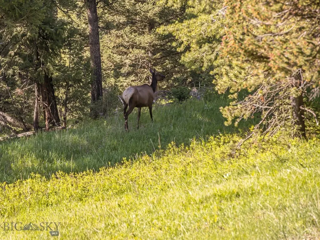 725 Sandhill Road Big Sky MT 59716