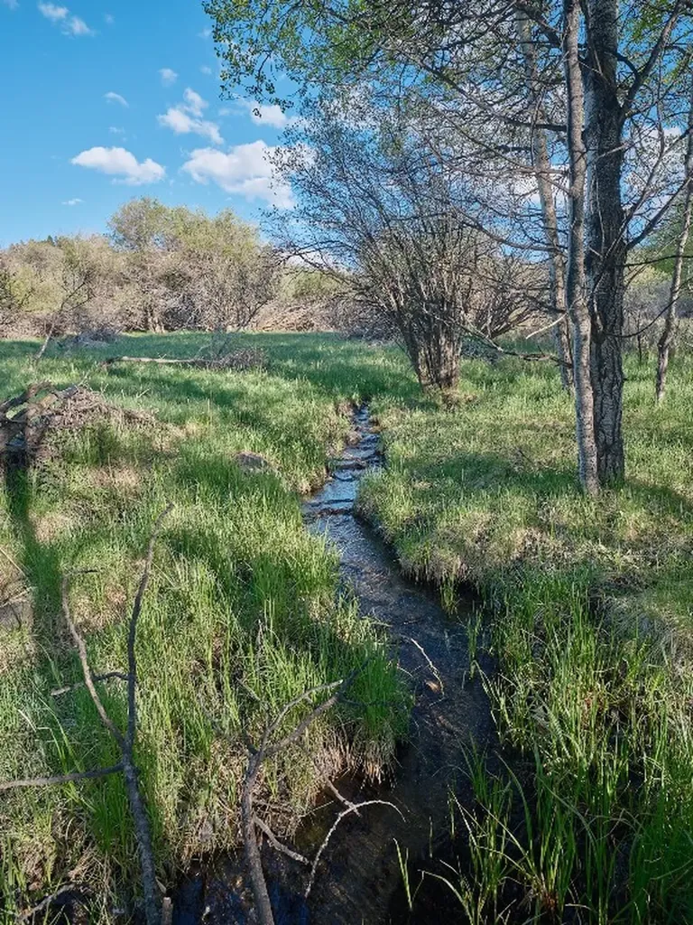 2178 Little Bear Road Gallatin Gateway MT 59730