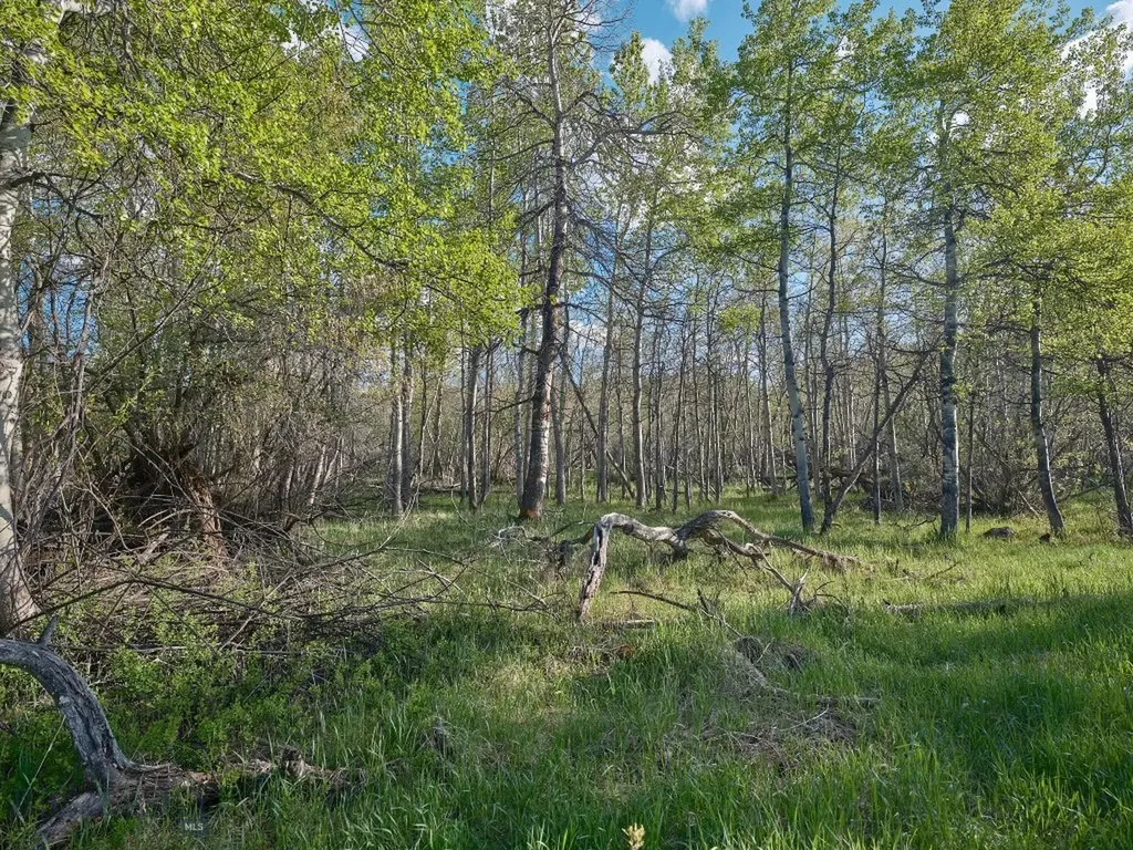 2178 Little Bear Road Gallatin Gateway MT 59730
