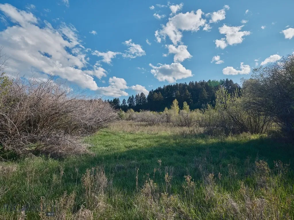 2178 Little Bear Road Gallatin Gateway MT 59730