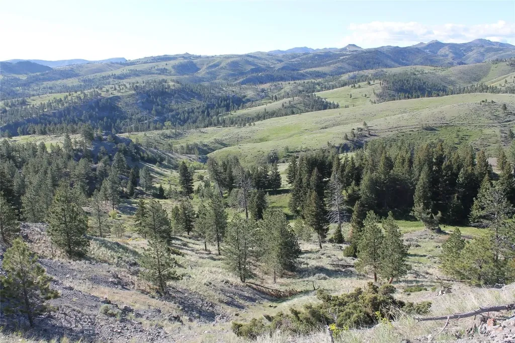 Tbd Tbd Big Timber MT 59011