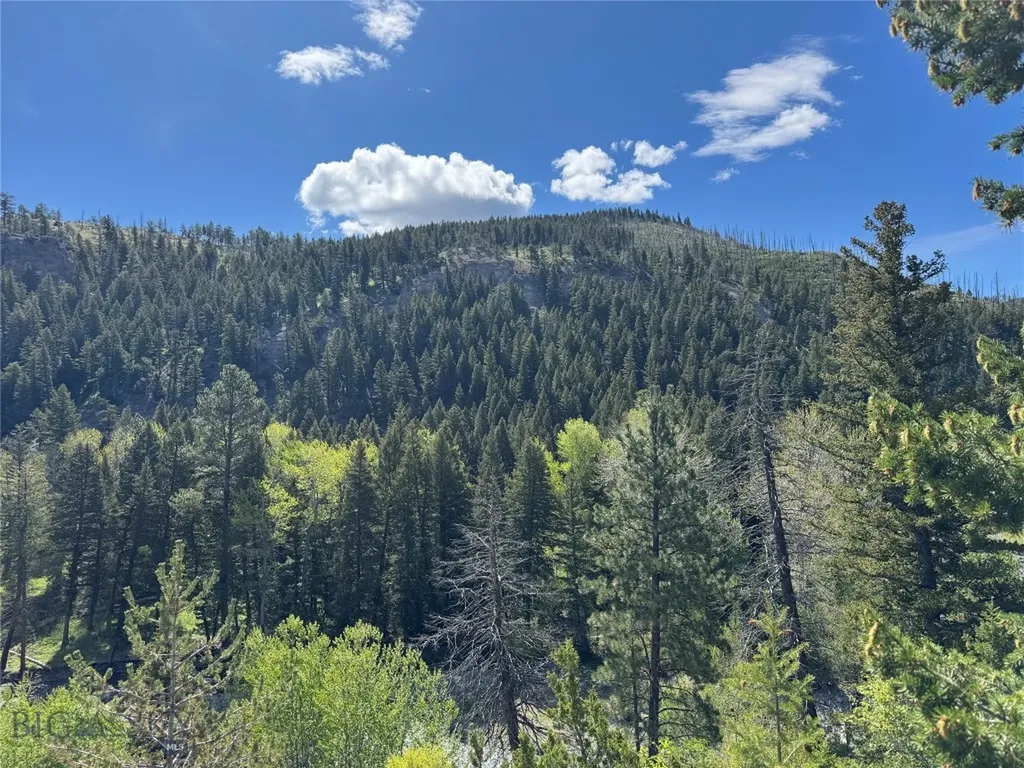 Tbd Tbd Big Timber MT 59011