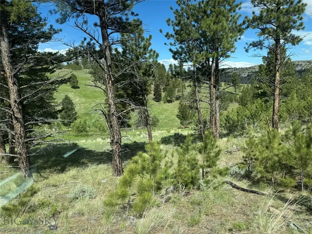 Tbd Tbd Big Timber MT 59011