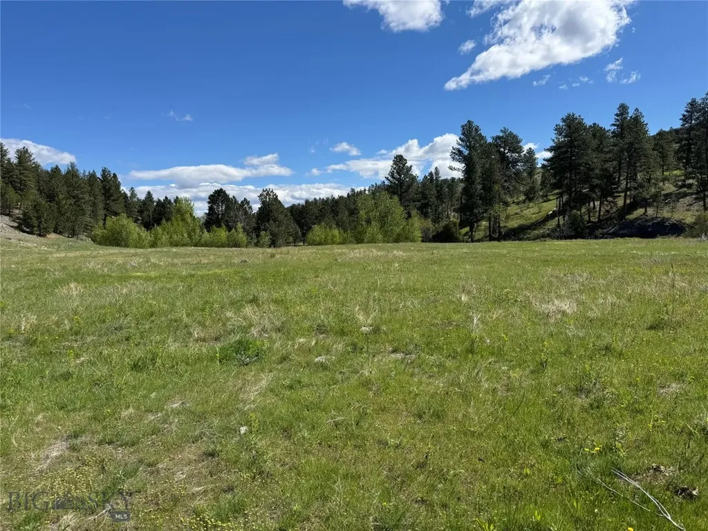 Tbd Tbd Big Timber MT 59011