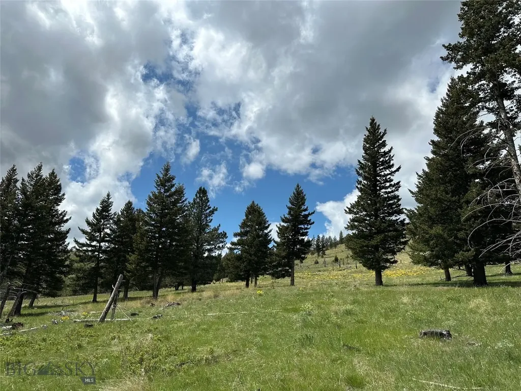 Tbd Tbd Big Timber MT 59011