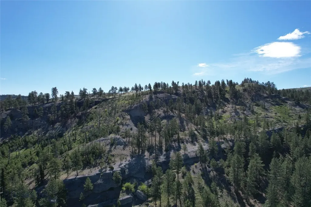 Tbd Tbd Big Timber MT 59011