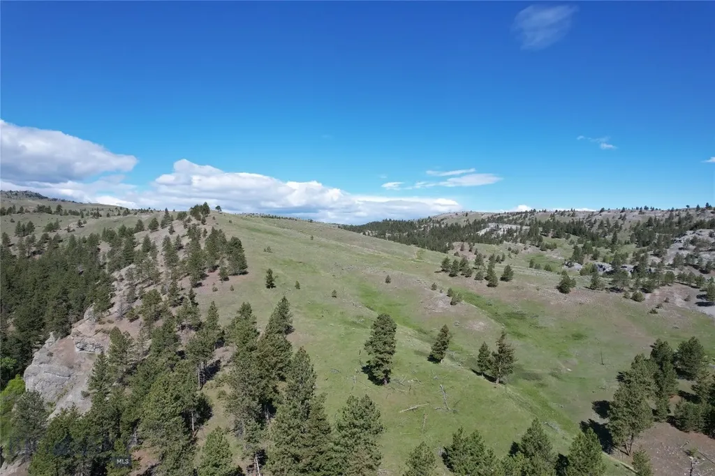 Tbd Tbd Big Timber MT 59011
