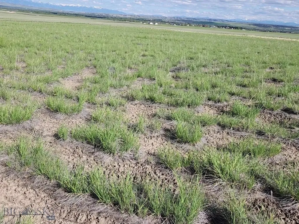 Tbd Lewis Drive Three Forks MT 59752