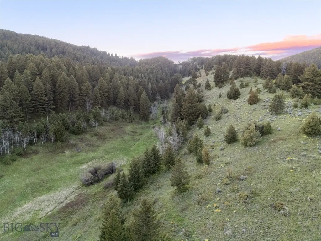373 Rockhill Road Bozeman MT 59715