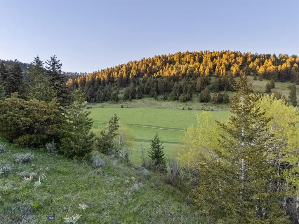 373 Rockhill Road Bozeman MT 59715