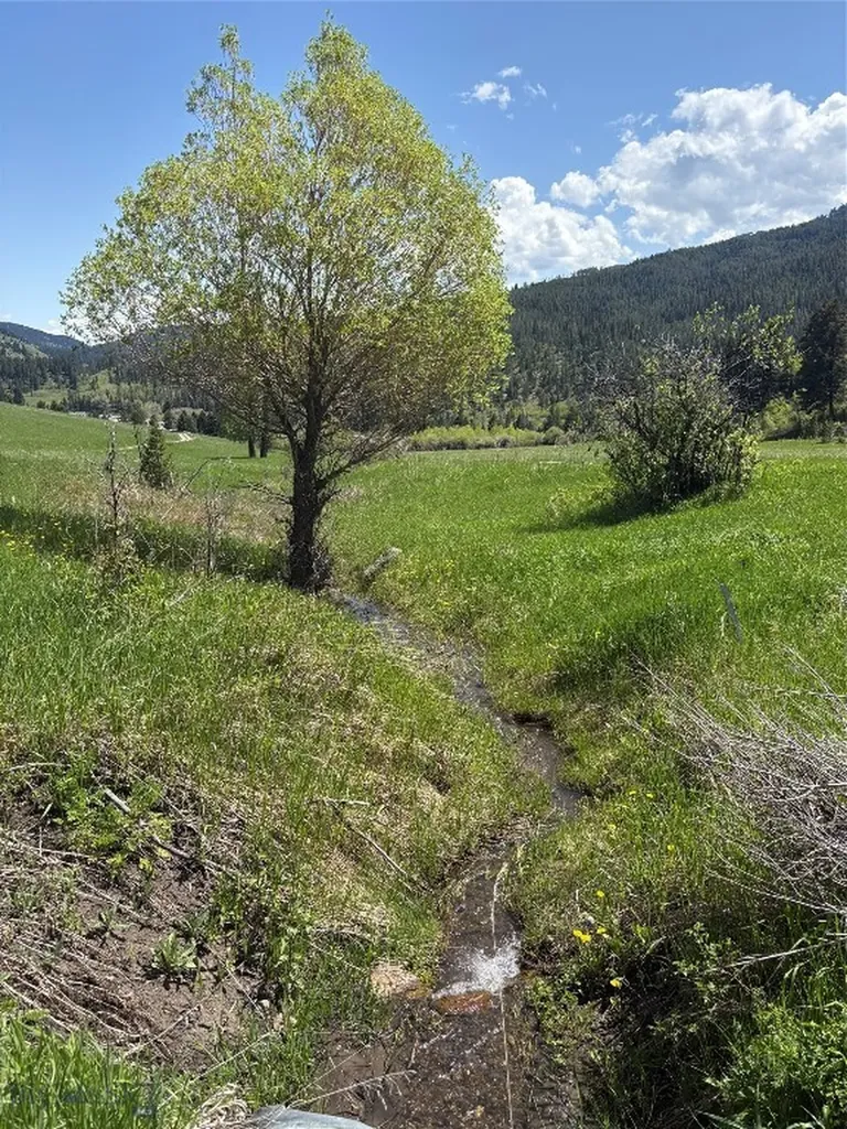 373 Rockhill Road Bozeman MT 59715